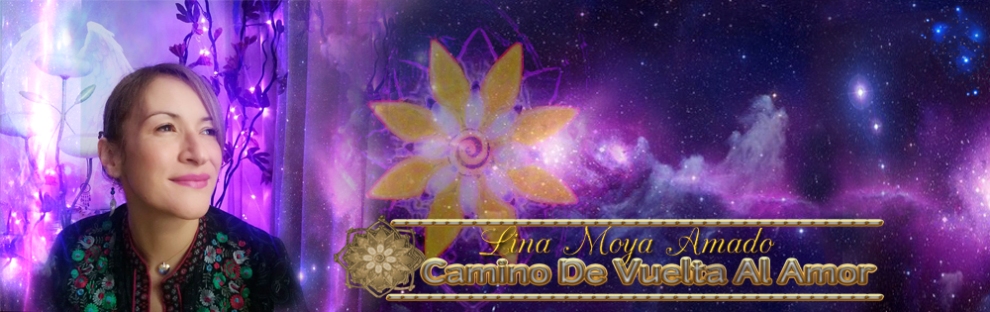 lina_moya_amado