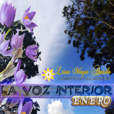 la_voz_interior